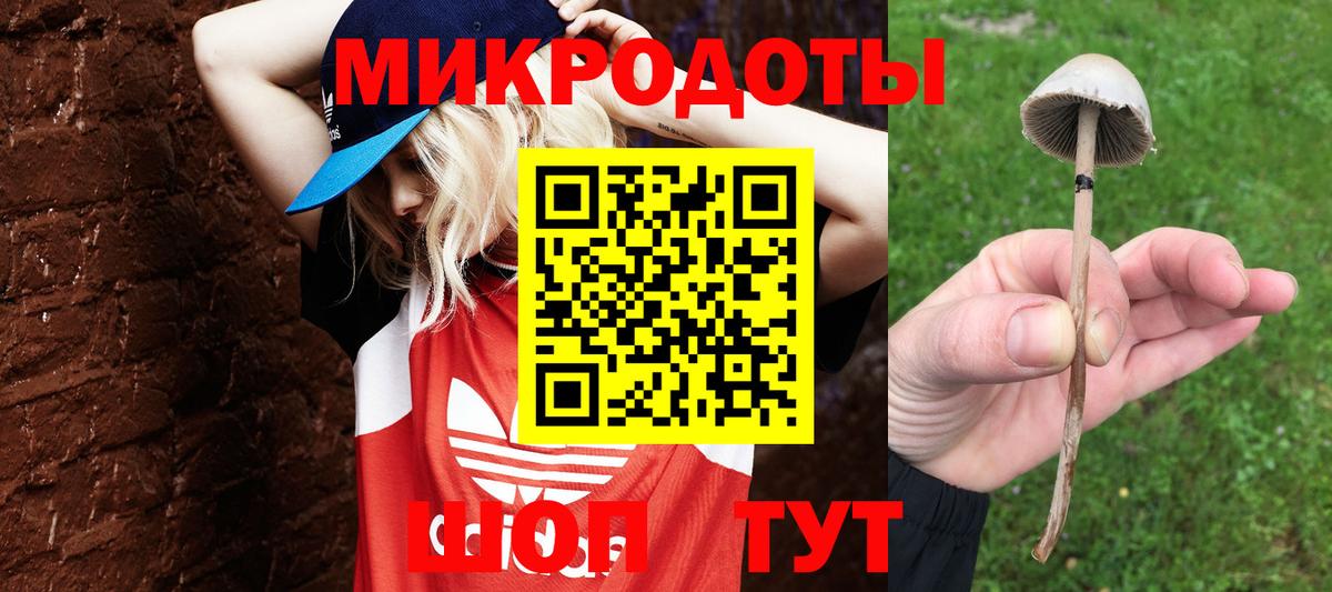 Псилоцибиновые грибы мухоморы Гай