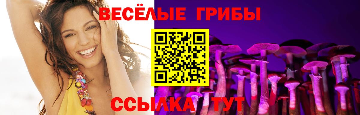 Псилоцибиновые грибы MAGIC MUSHROOMS  Вход с VPN  Гай  Псилоцибиновые грибы Psilocybe 